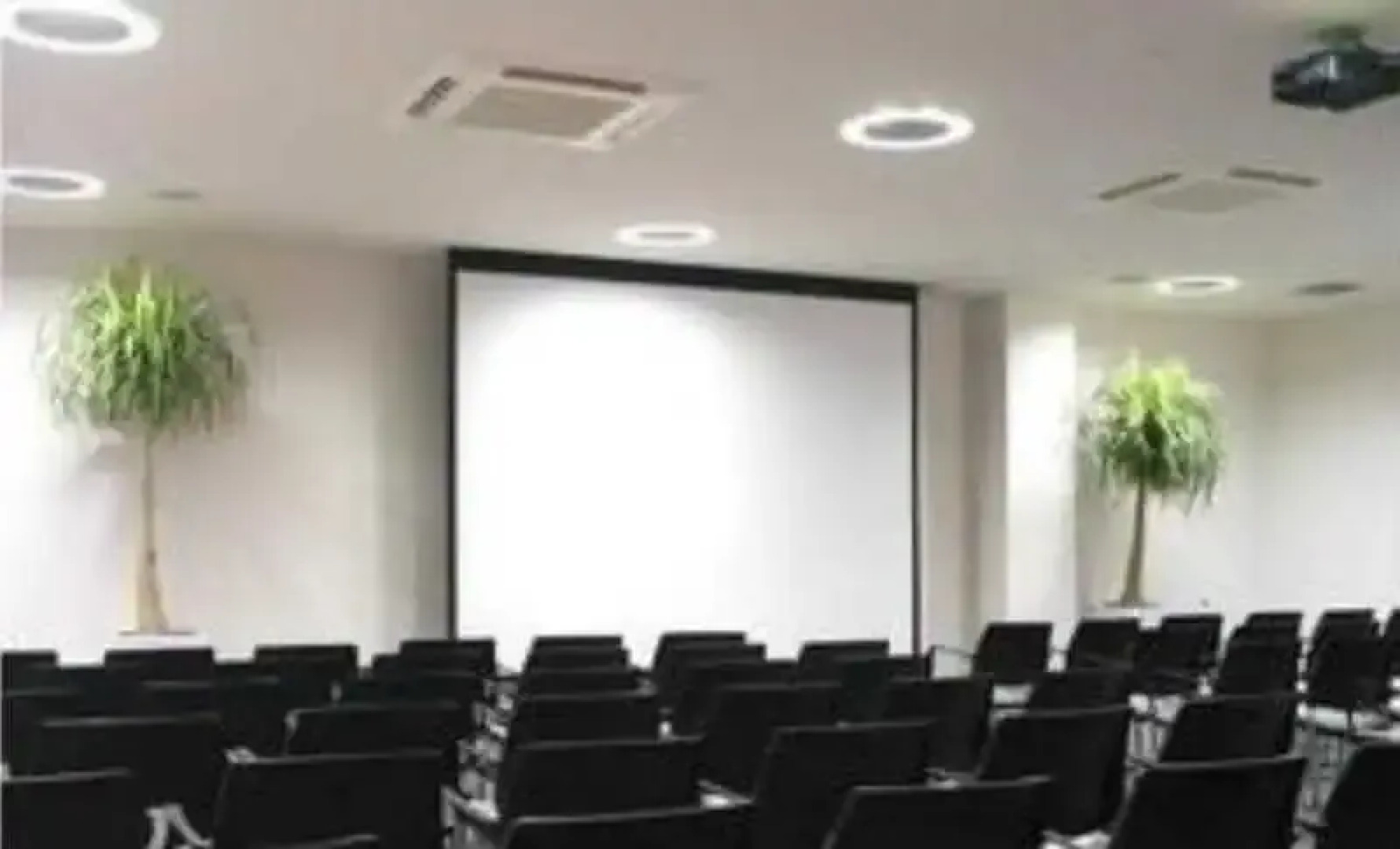 All Seasons Christchurch