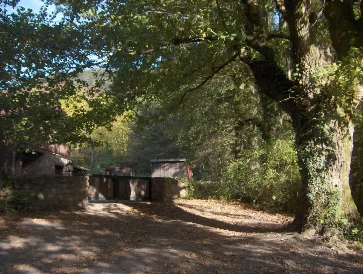 Hostal Itzalargikoborda