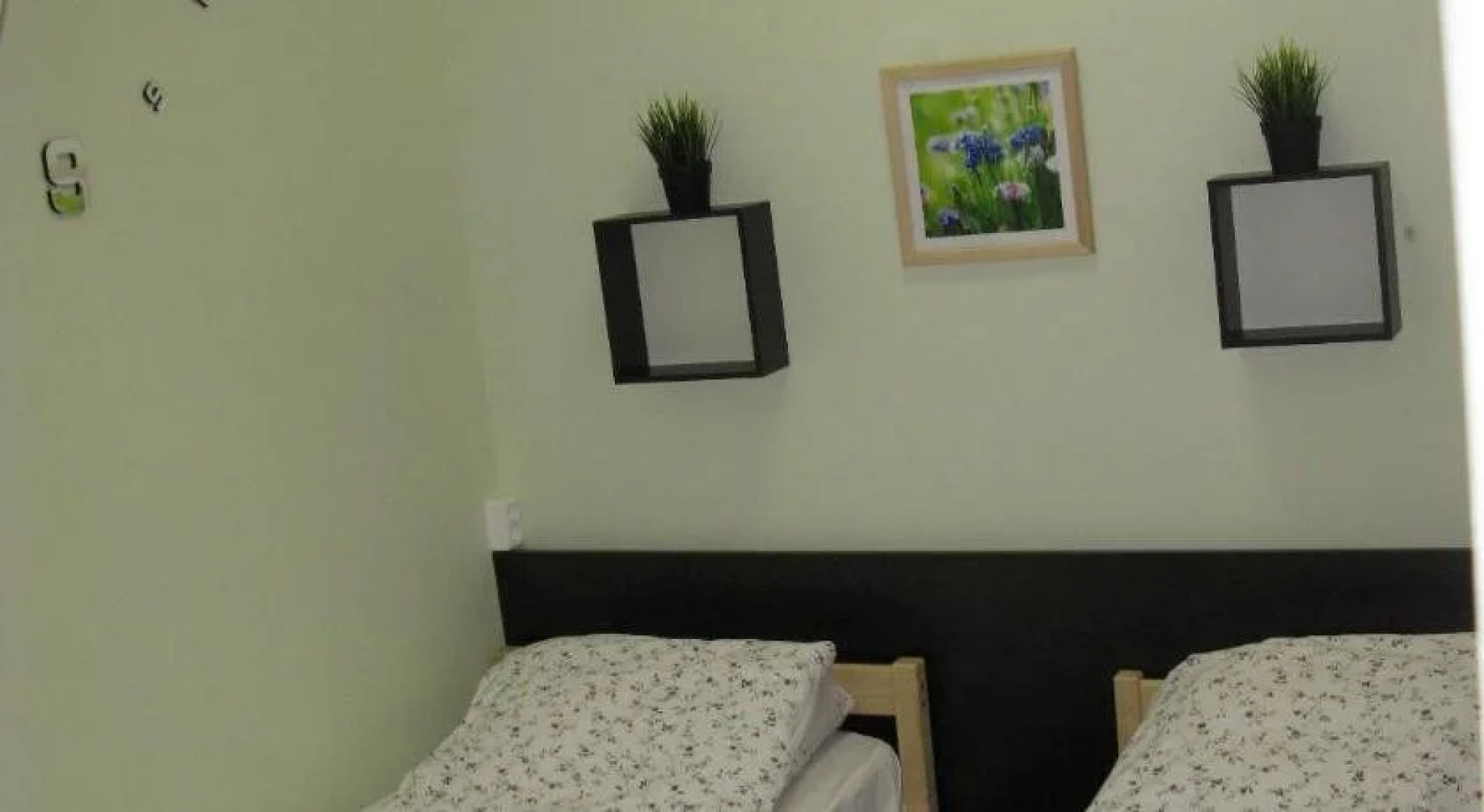 Razliv Zaliv Hostel & Hotel