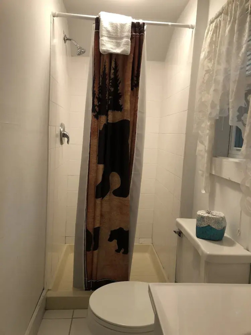 Lake George Bears Den