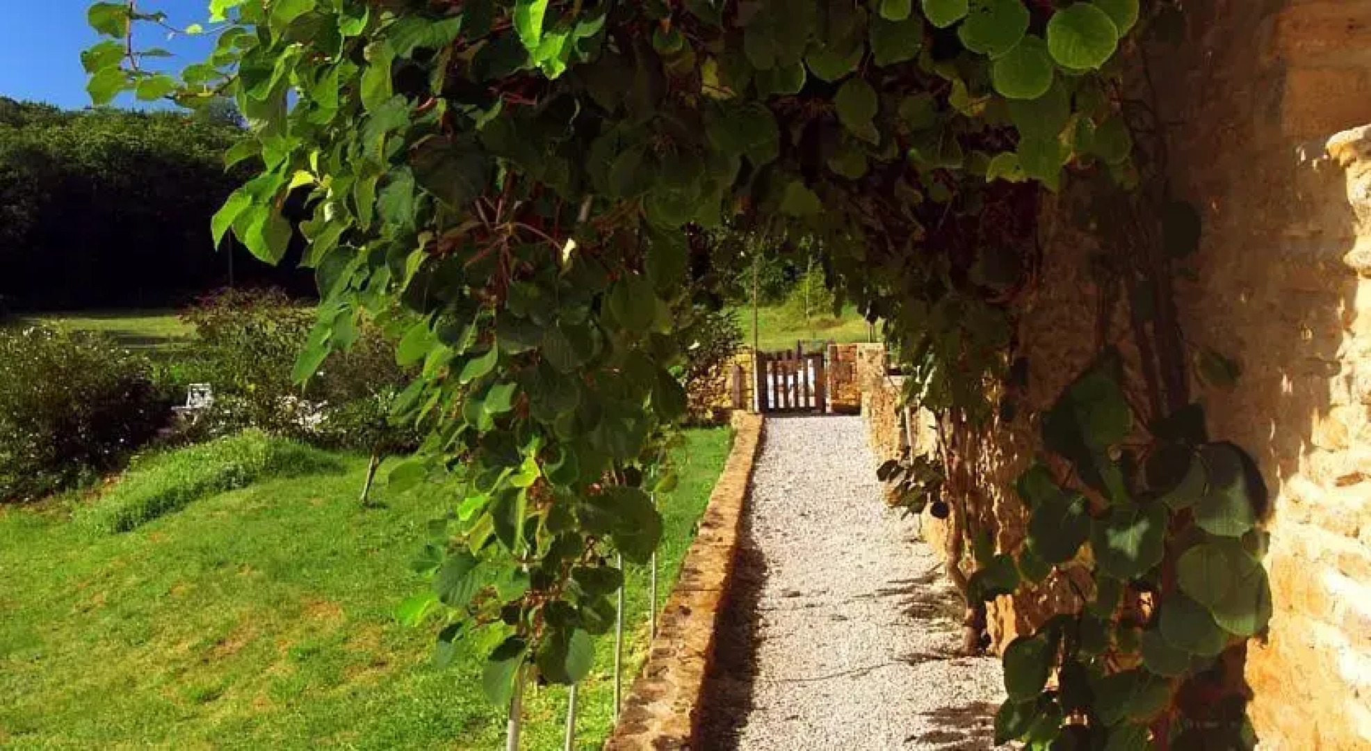 Les Menthes Sauvages