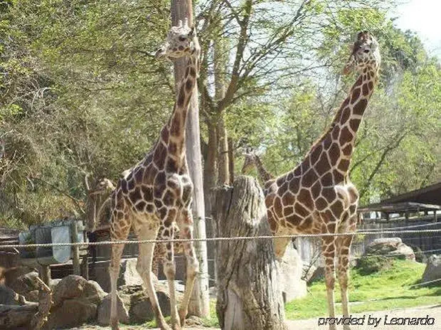 Summerfield Inn Fresno Yosemite