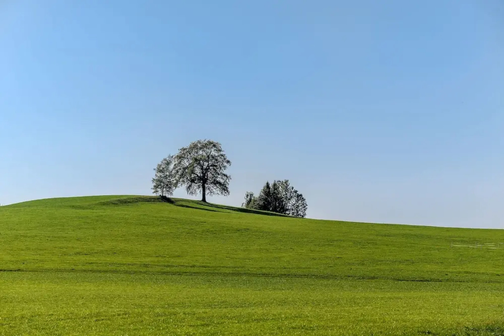 BIO-Hotel Adler/Restaurant