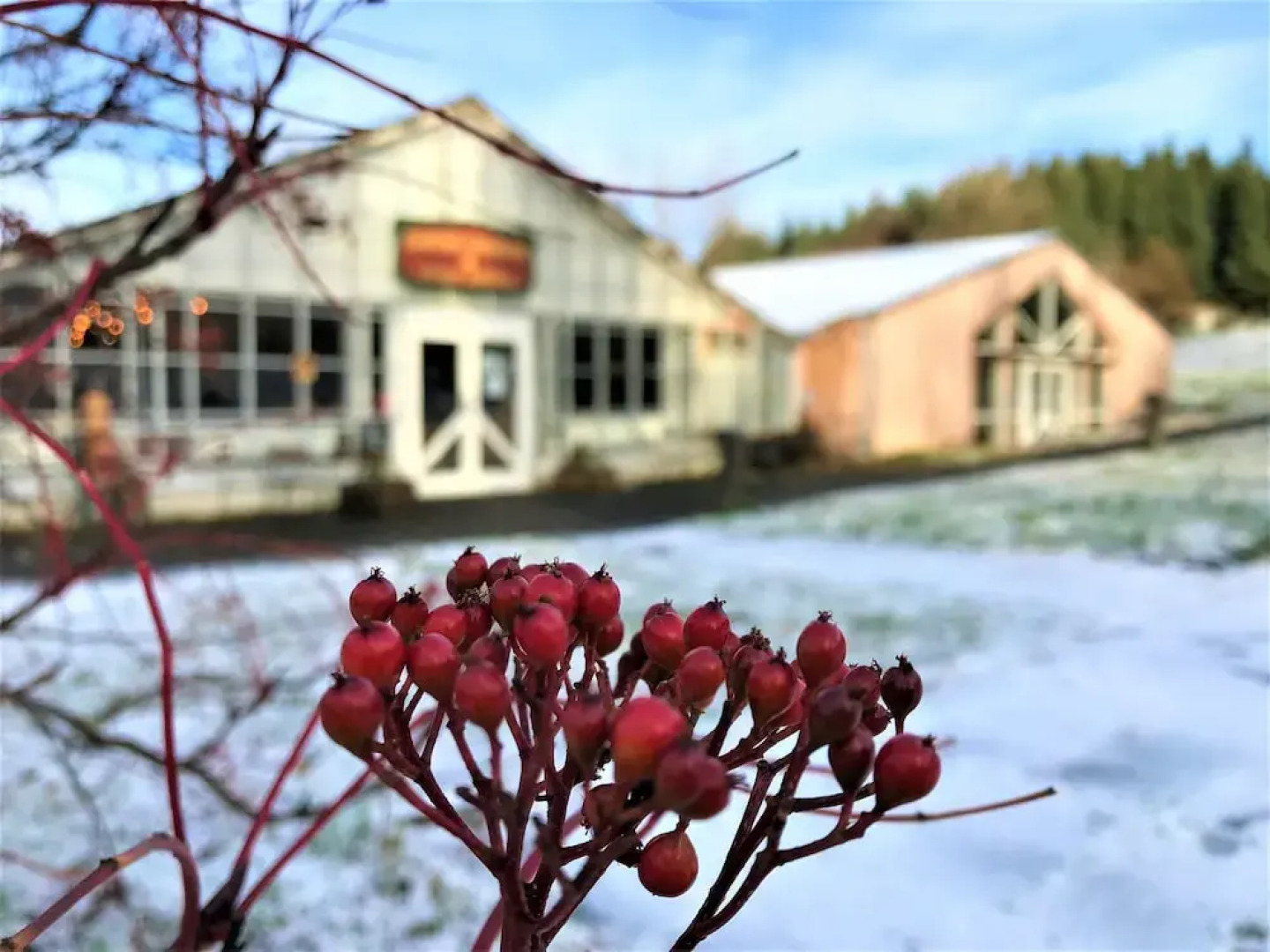 Solheimar Eco-Village Guesthouse