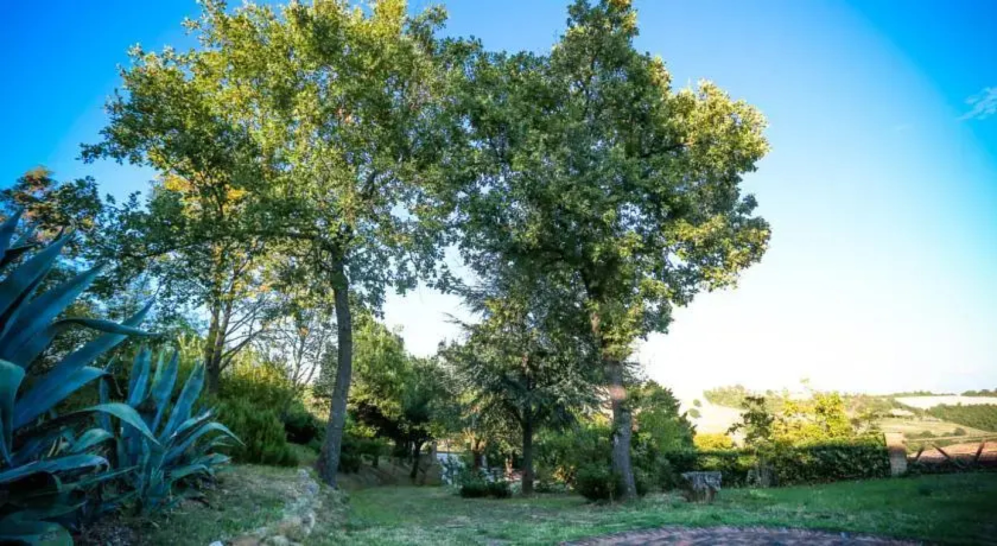 Agriturismo Costa Della Figura