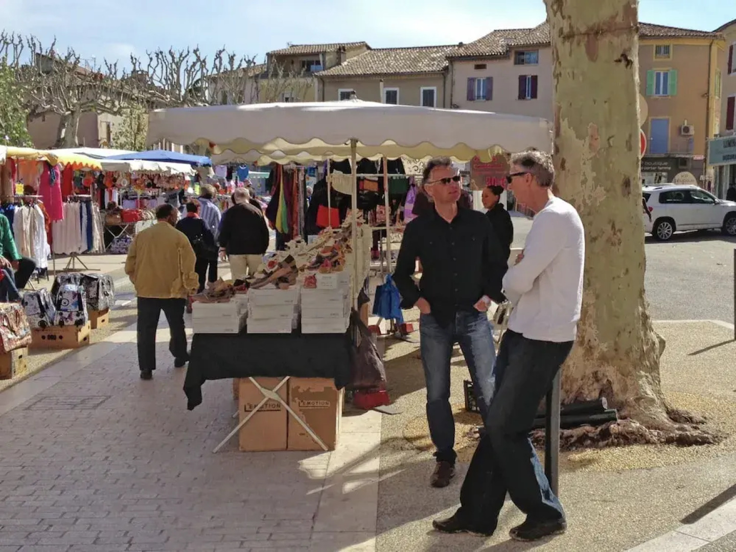 Detached Villa Situated Between the Vineyards and Views of the Mont Ventoux
