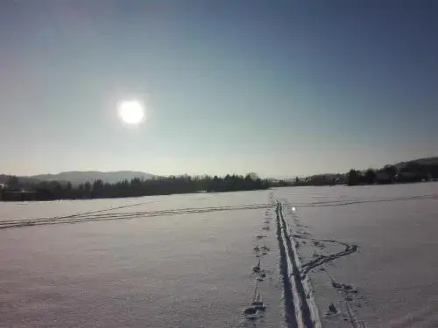 Apartment am Bieleboh