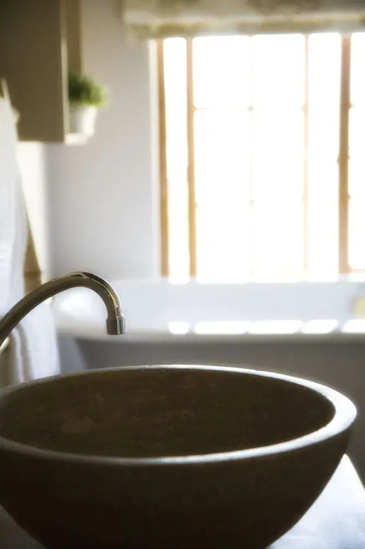 Thatch and Thorn Guest House