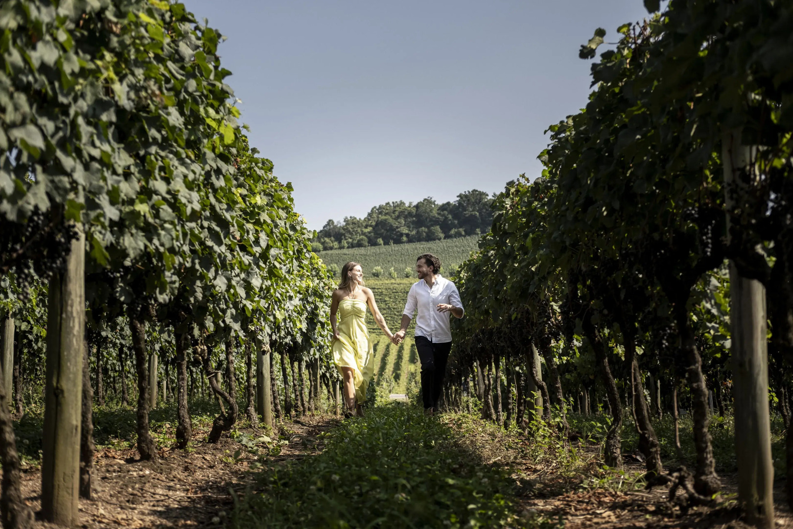 Plaza Hotel & Boulevard Convention – Vale dos Vinhedos