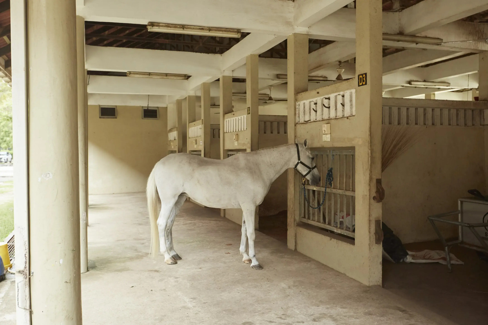 Terengganu Equestrian Resort