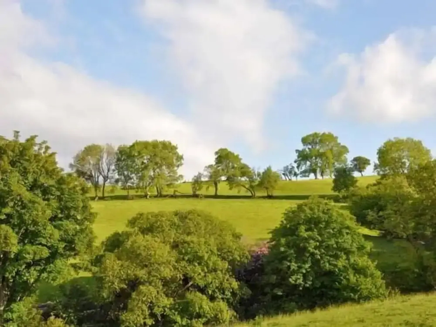 Hendre Aled Cottages