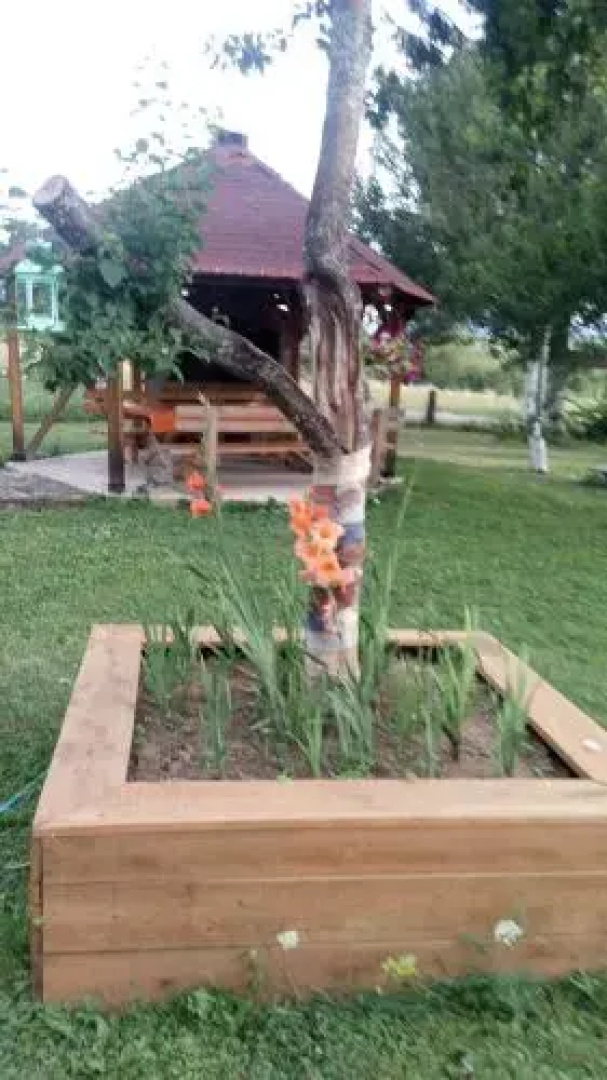 Apartments Eco Forest Resort