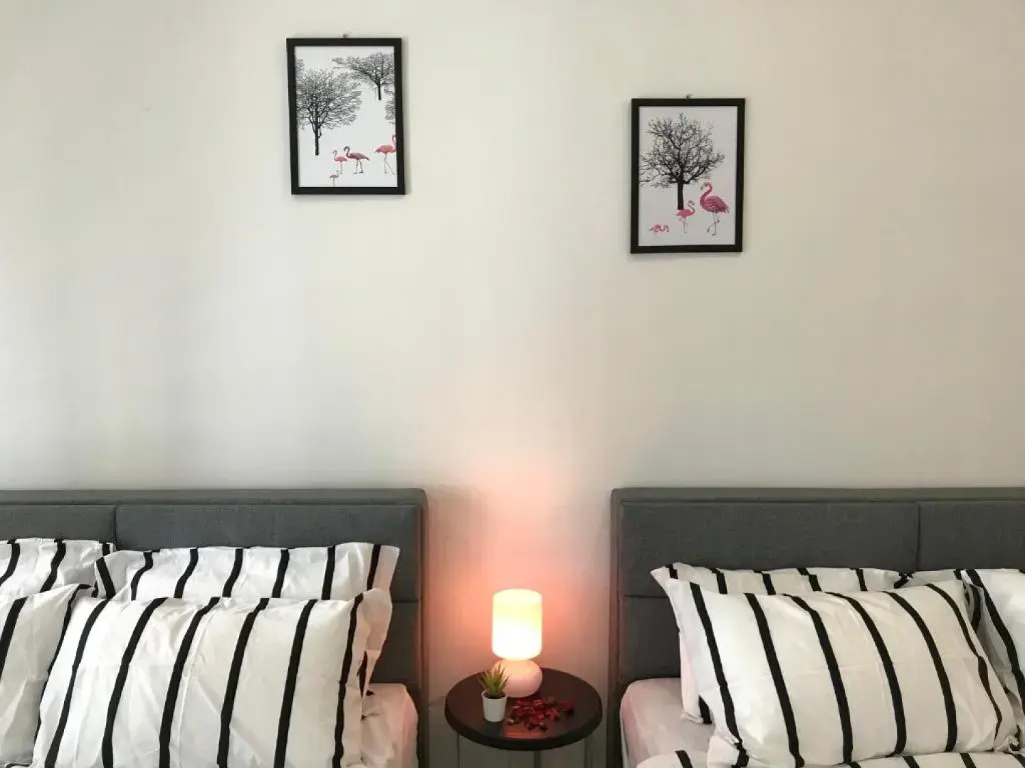 CozyStudio Trefoil Setia Alam