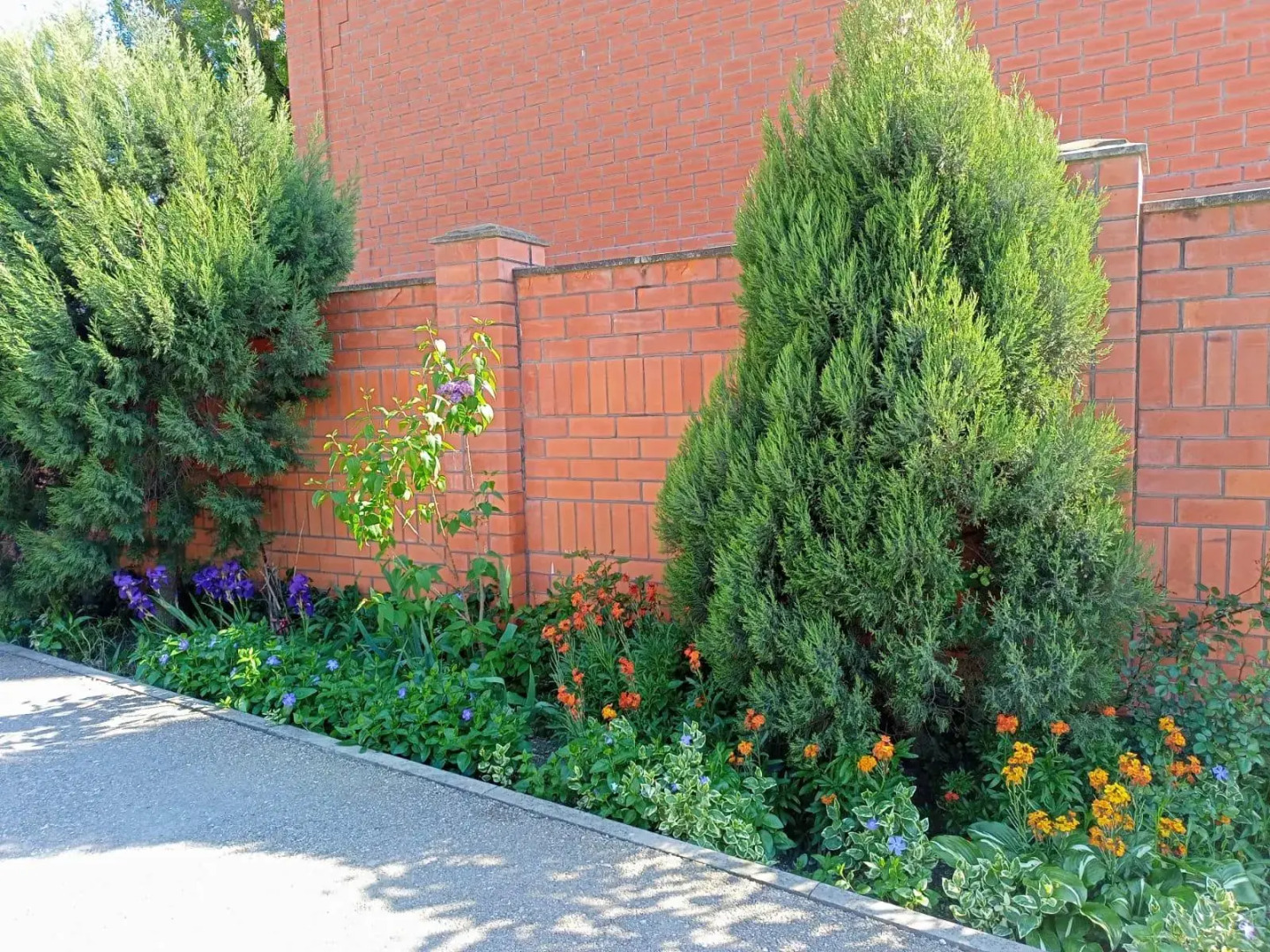 На Коллективной 11