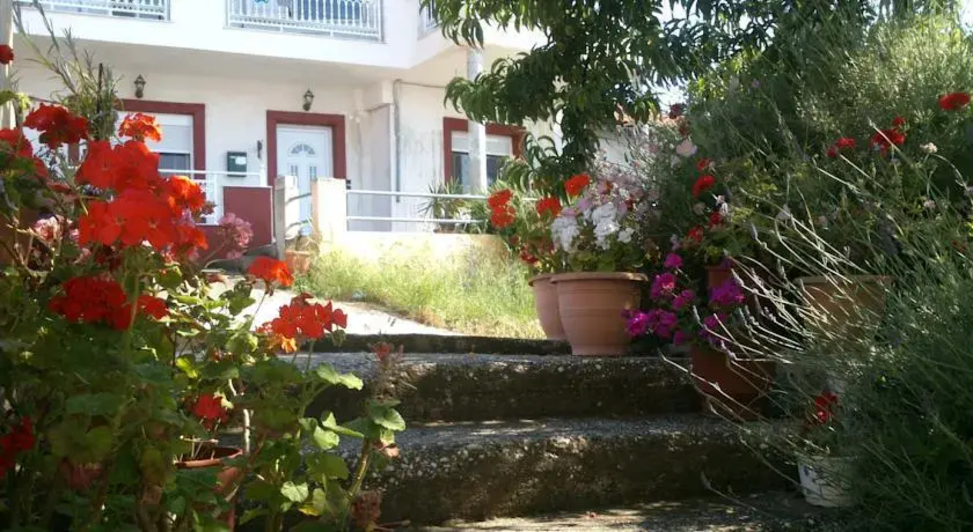 Pension Dimitris