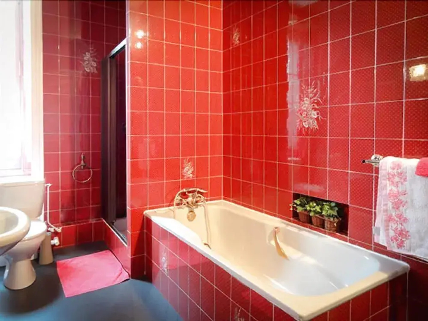 Chateau la Mothe Charente