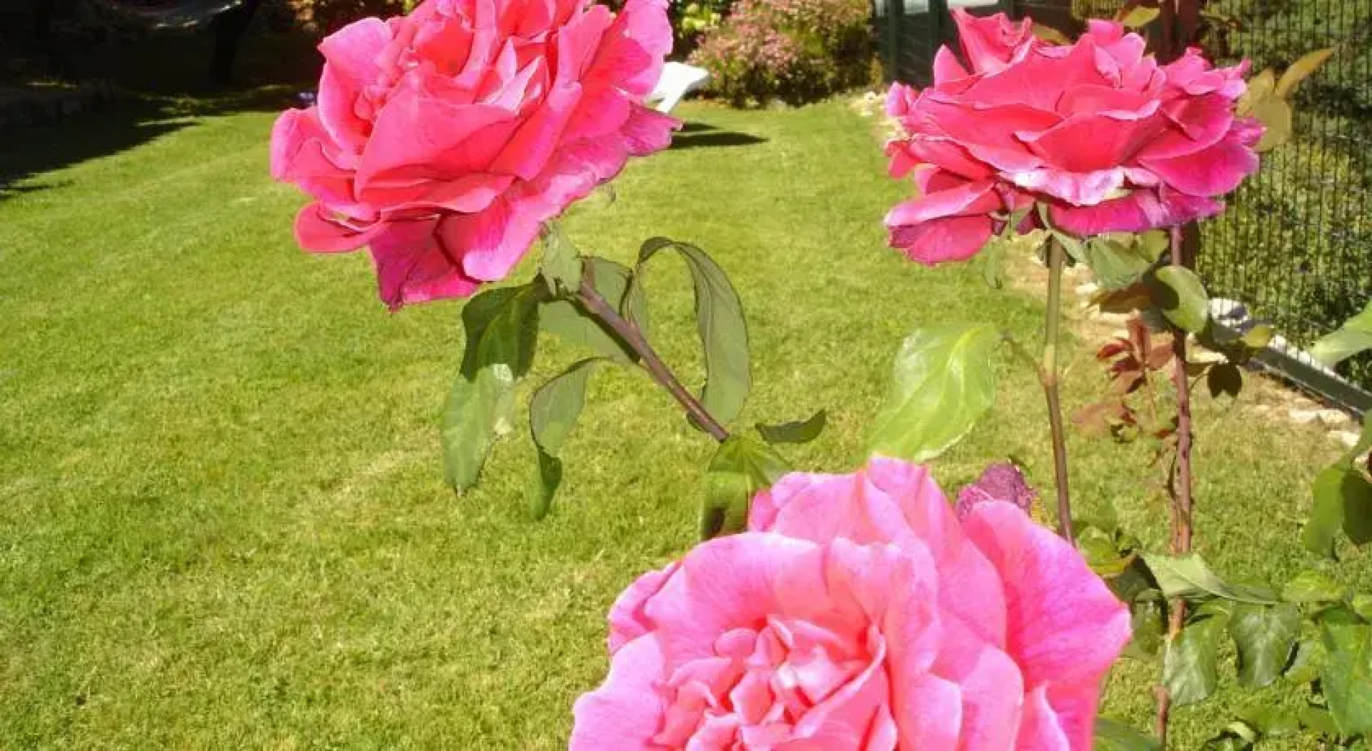 Holiday home Con Encanto