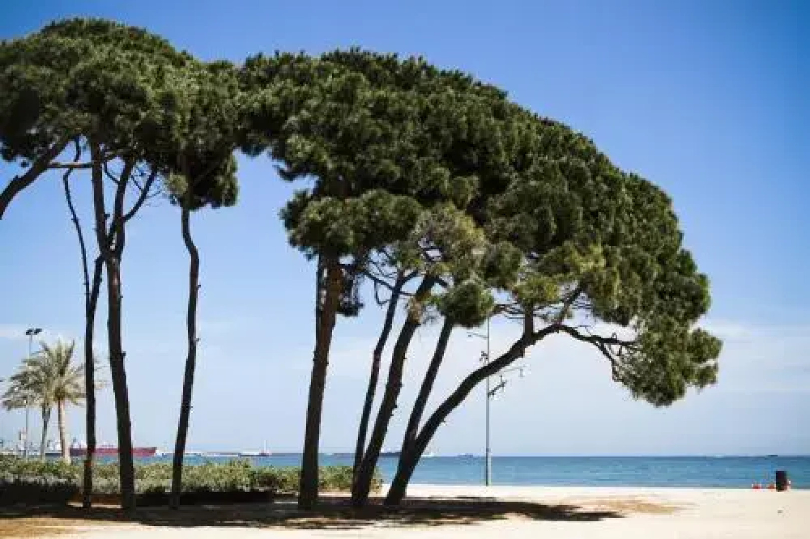 Bahia Planet Costa Dorada