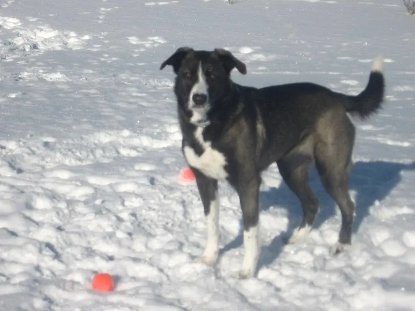 Red Hills Country House B&B