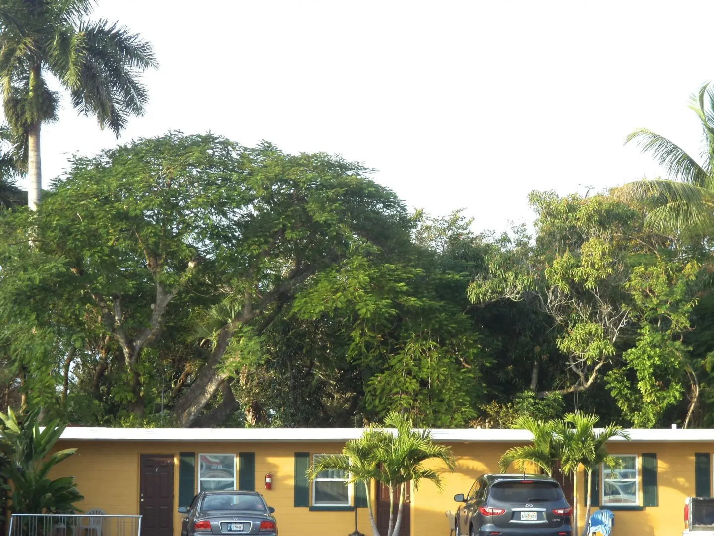 Glades Motel - Naples