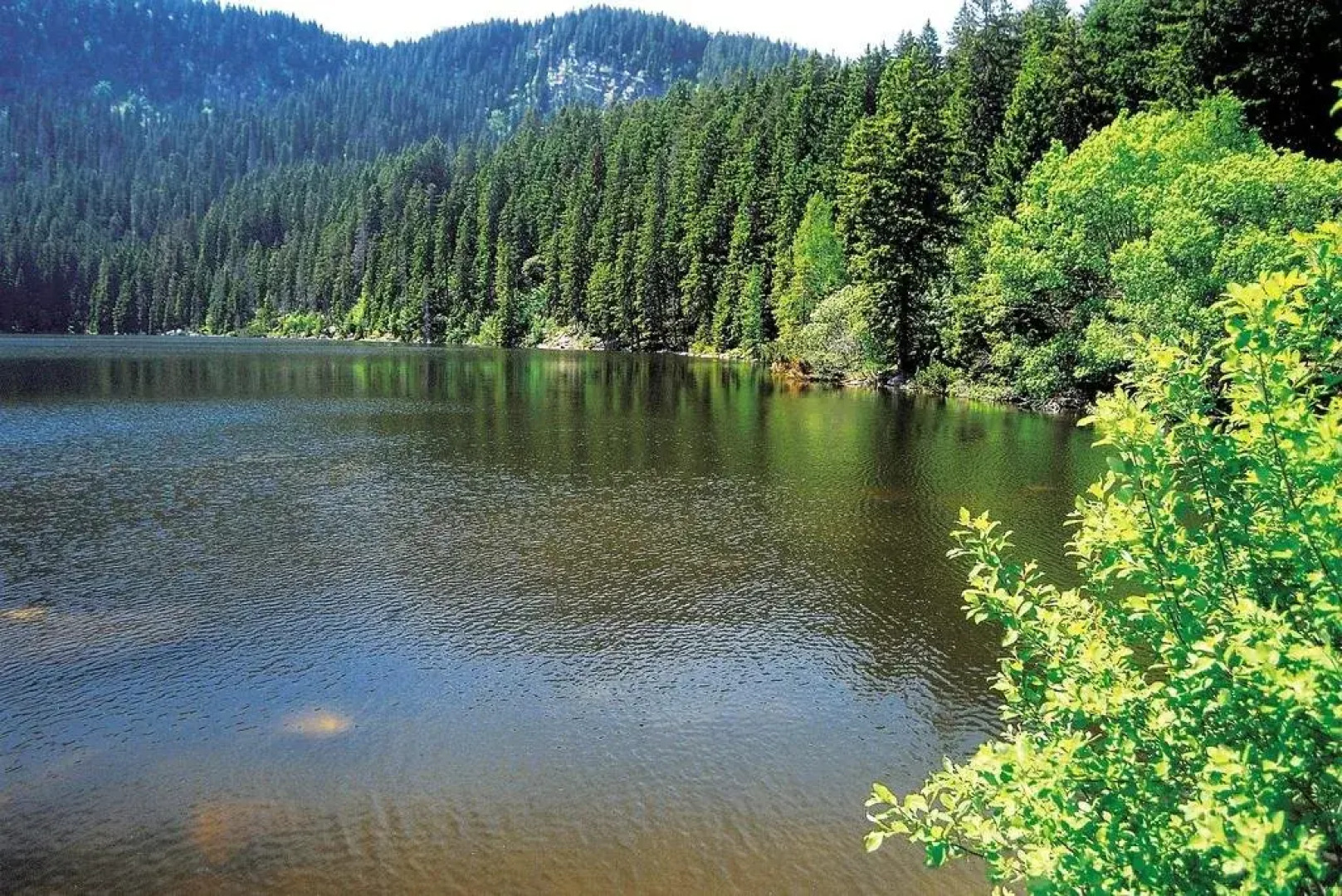 Hotel Pension Hochficht