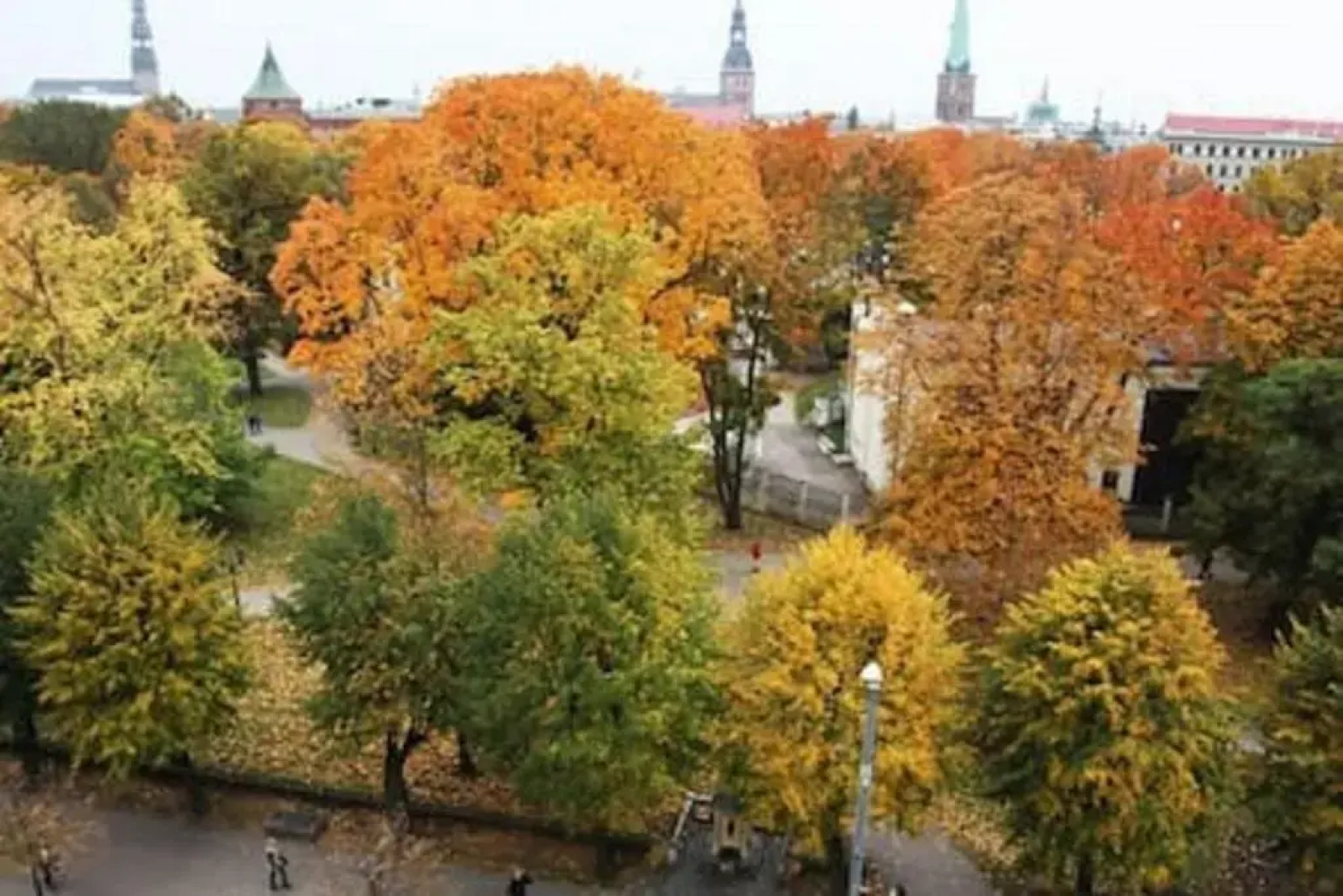 Old Riga Park Studio