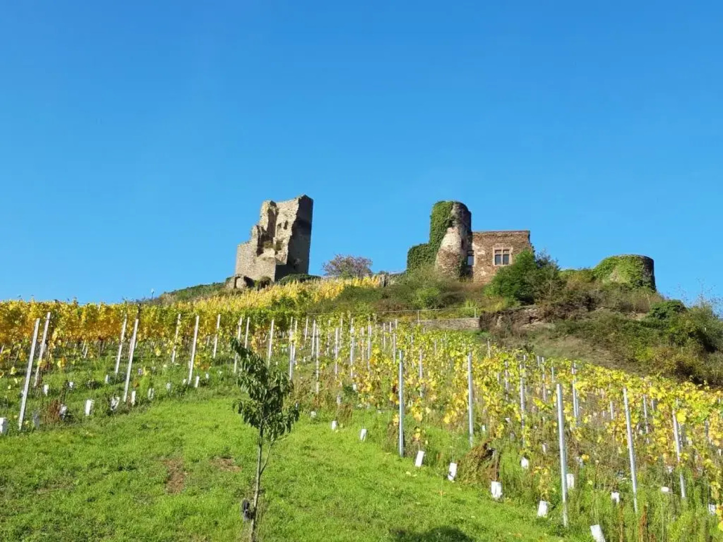 Ferienwohnung Ambiente II Und III