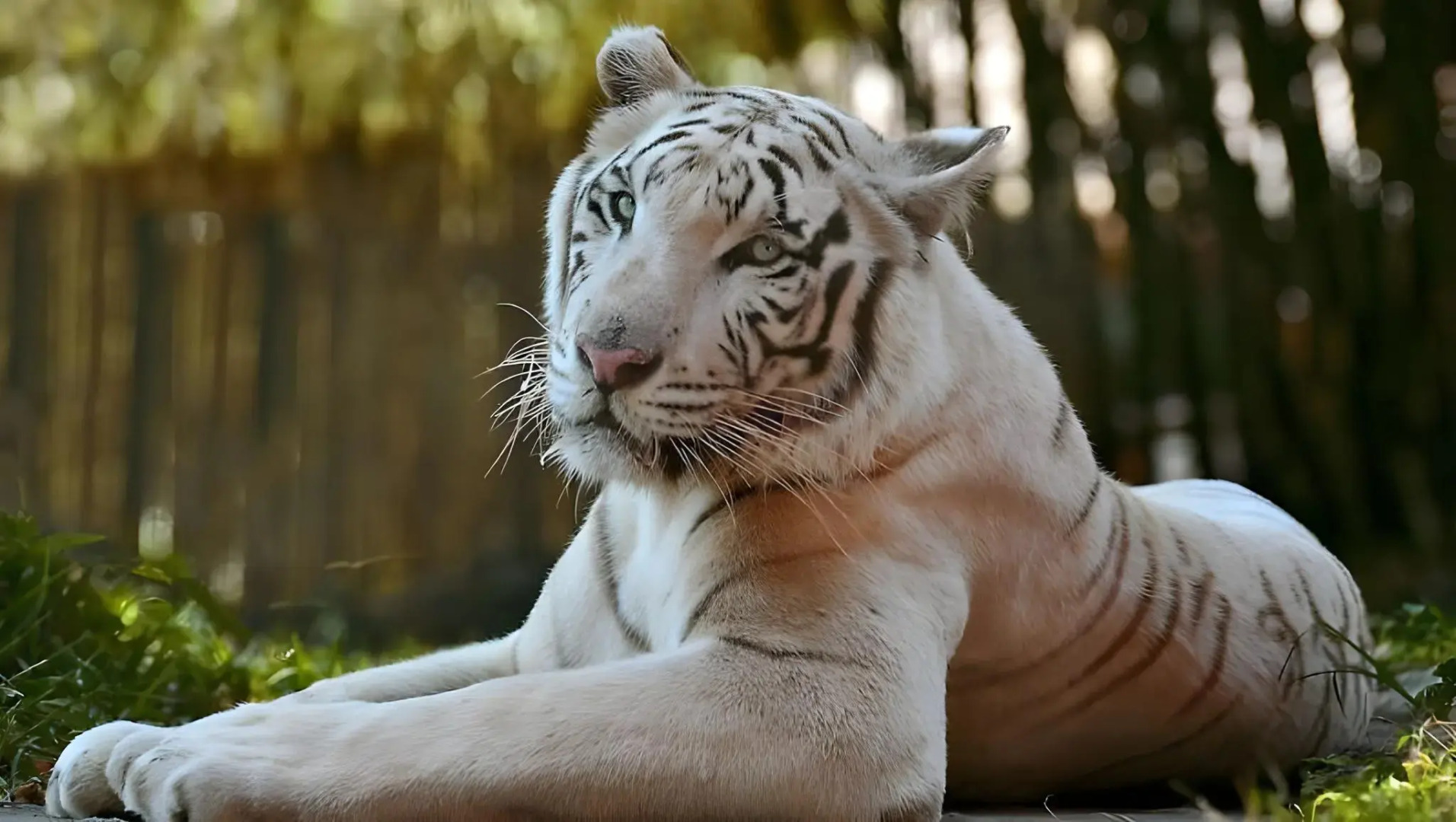 Magnuson Hotel Little Rock South