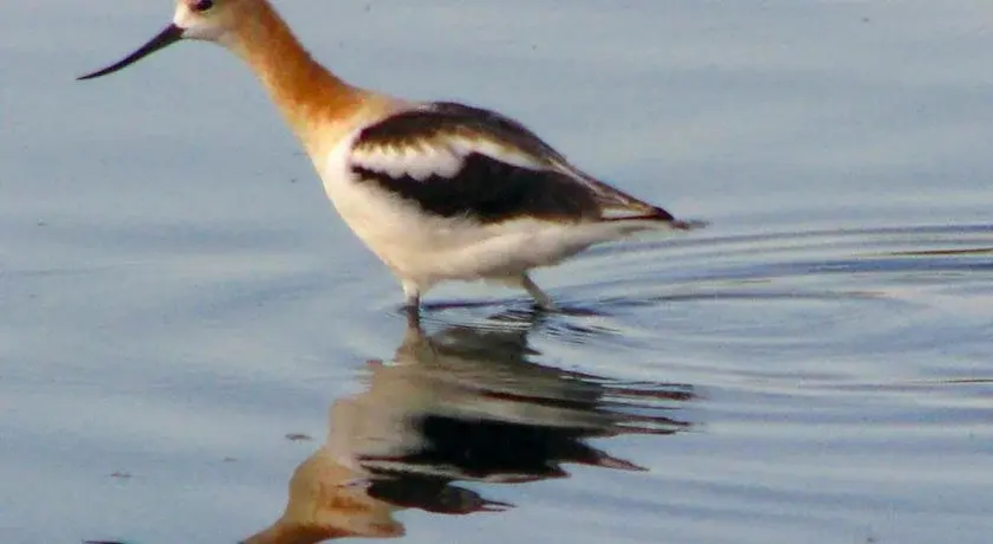 Fairmount Bed & Breakfast