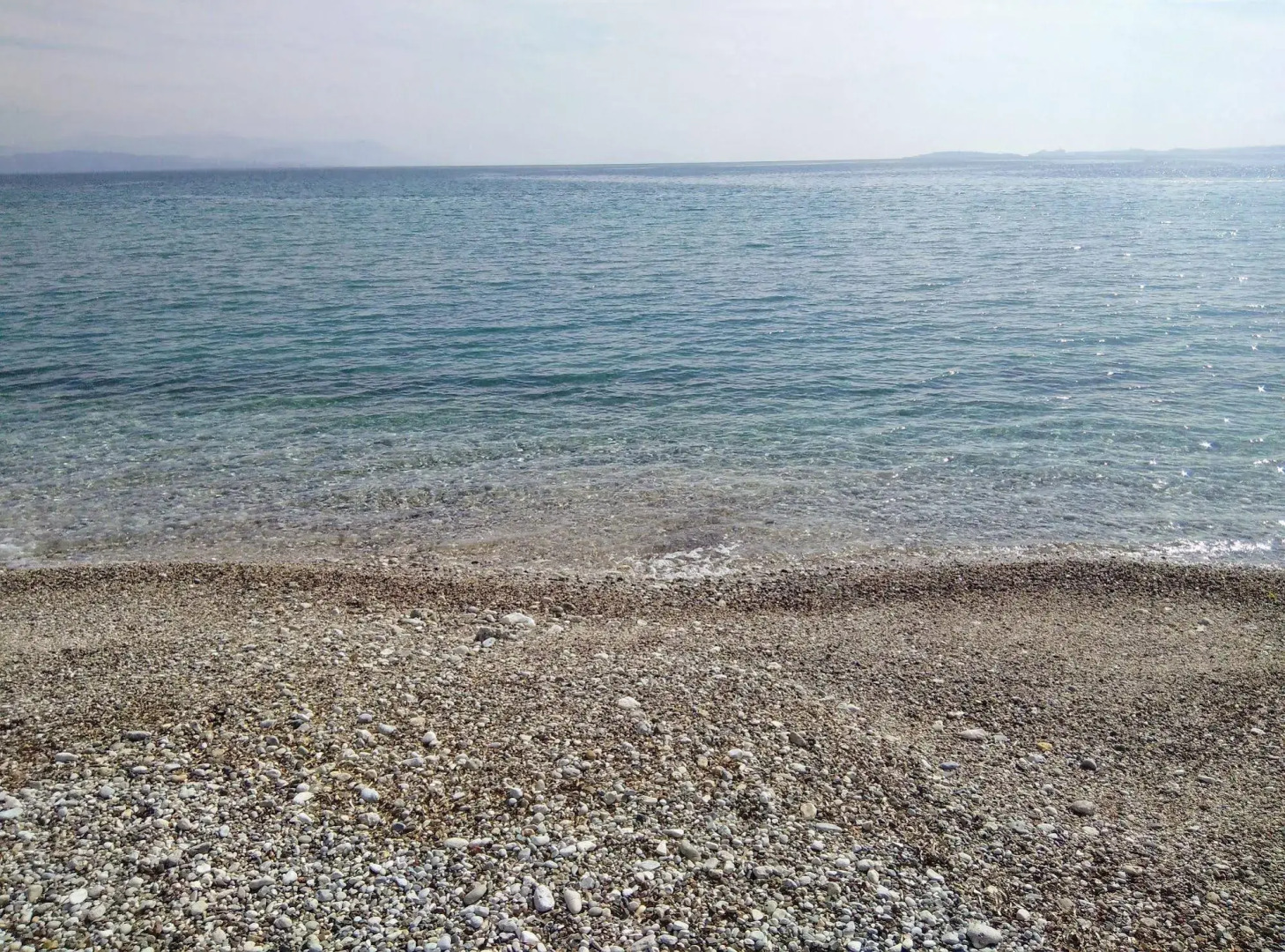 Comfy Hostel Studios