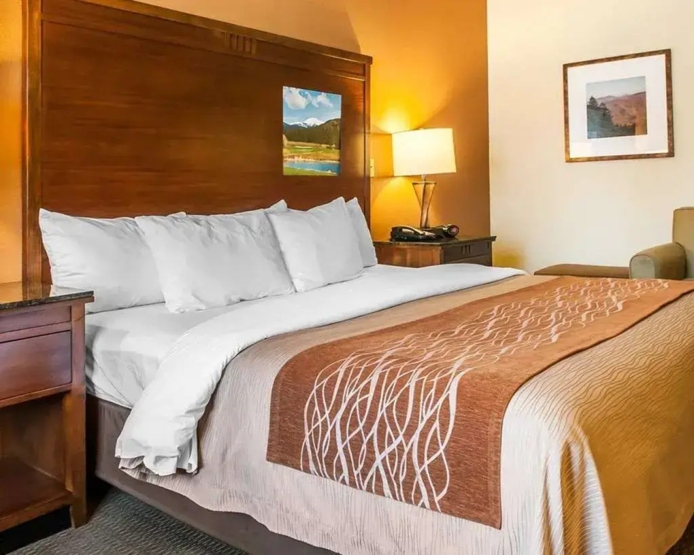 Comfort Inn & Suites Midtown