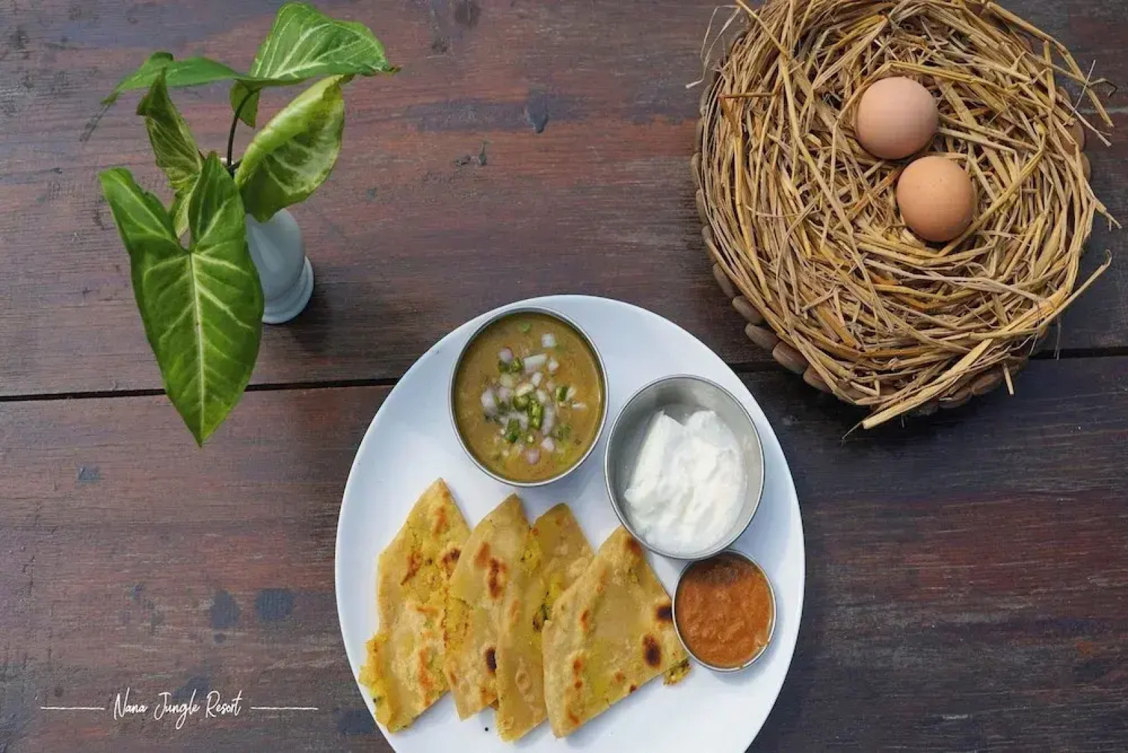 Nana Jungle Resort Near Chitwan National Park