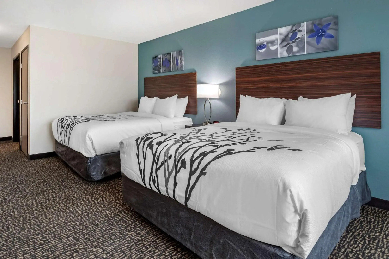 Sleep Inn Waukee-West Des Moines
