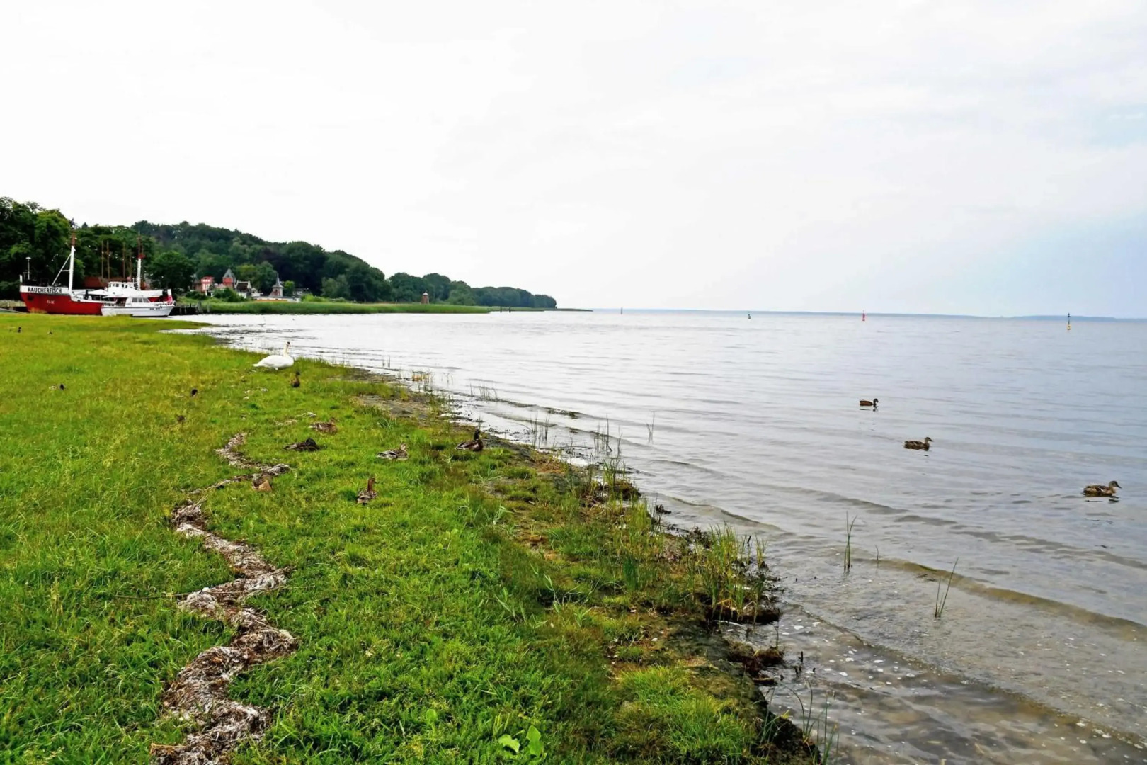 schoene Ferienwohnung mit Terrasse