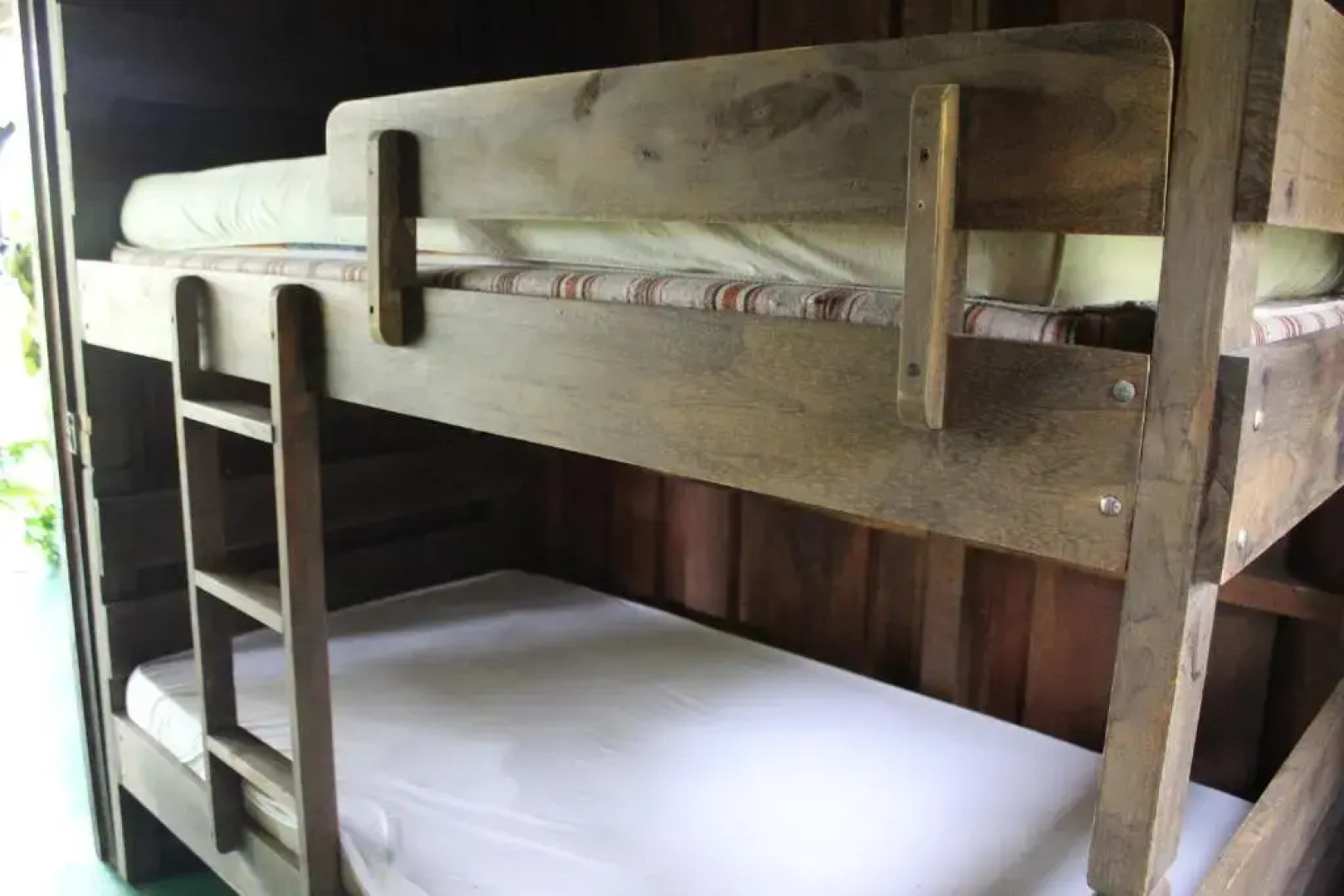 Finca Orgánica Guarumo