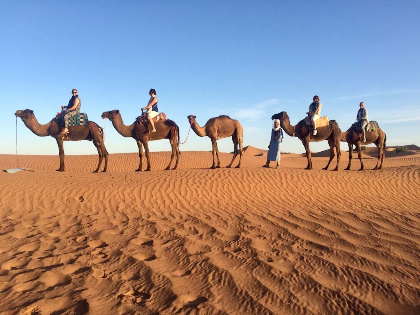Desert Bivouac