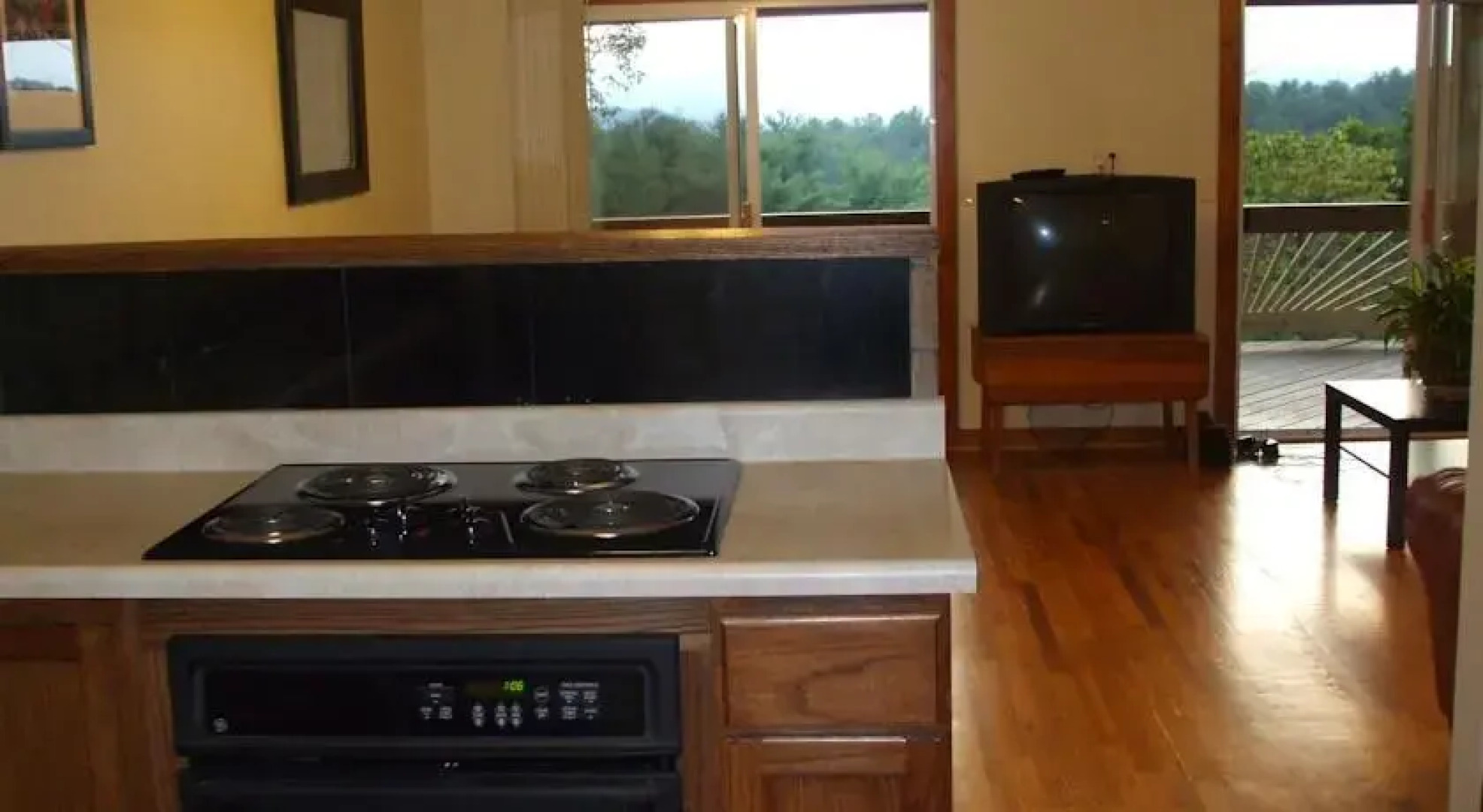 Mountain View Holiday Home - Hendersonville