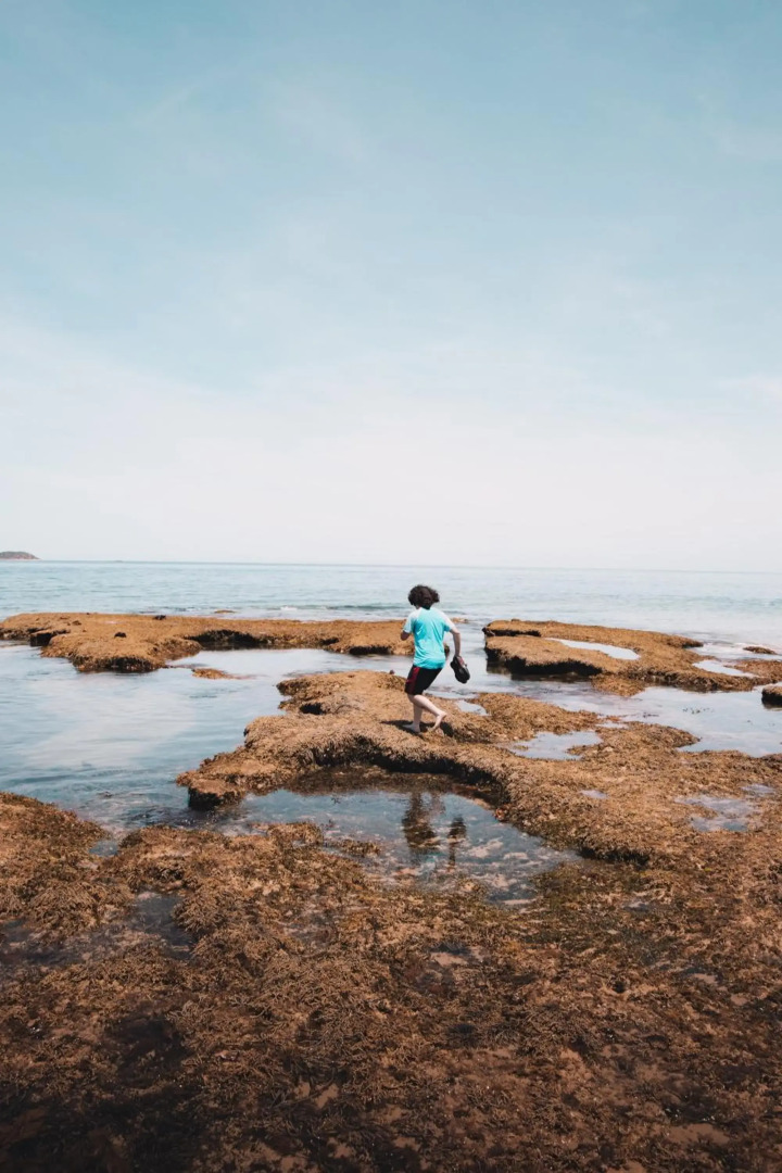 Point Lonsdale Beach House - Relax Beach Surf Golf