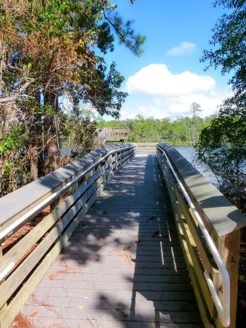 Southern Charm by RedAwning