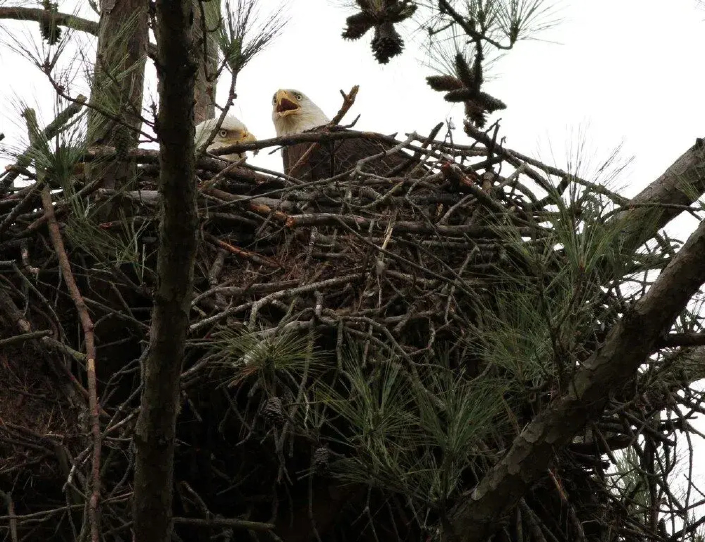 Kentucky Dam Village State Resort Park