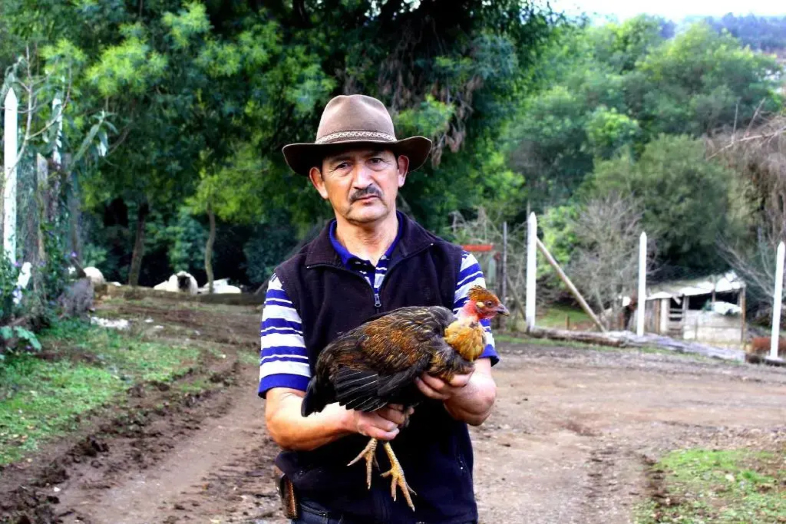 Cabaña Huilipan Gonzalez