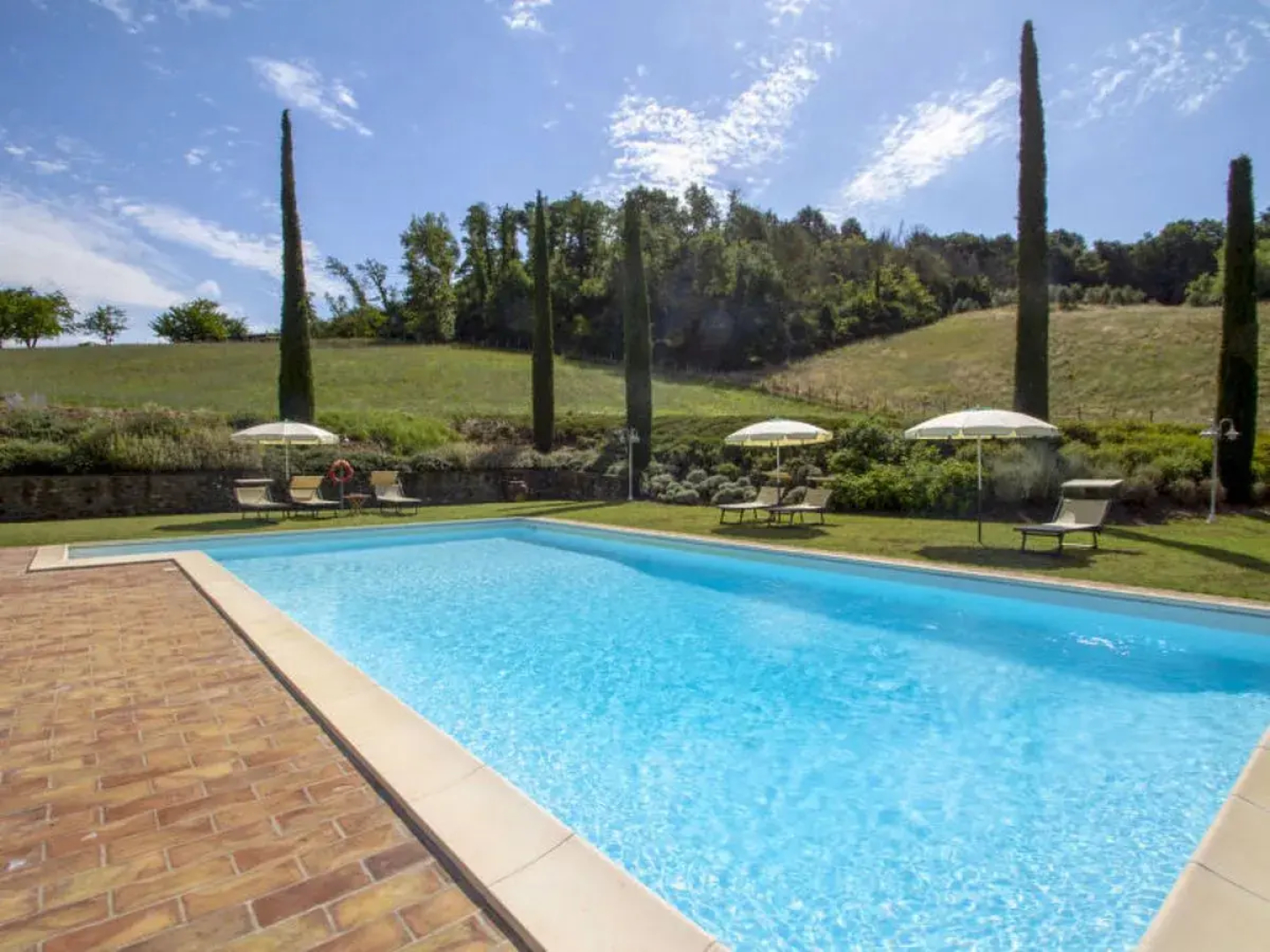 Corbezzolo 30596