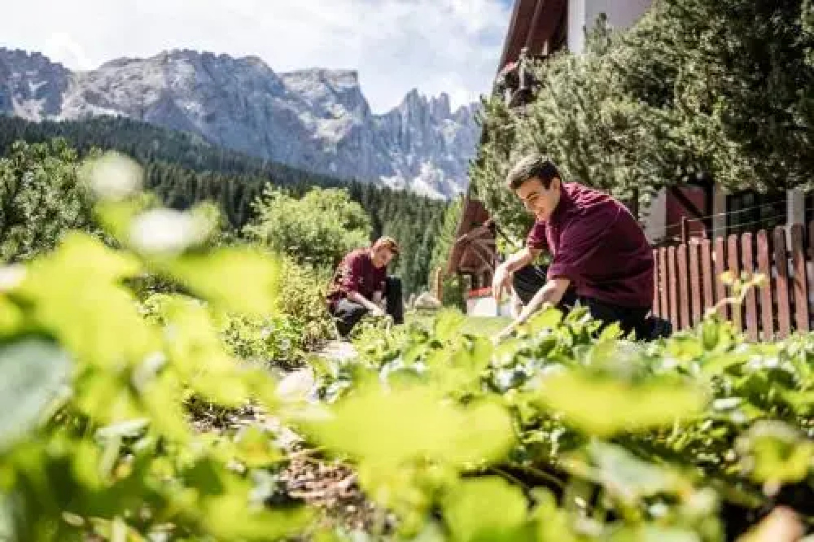 Sporthotel Alpenrose