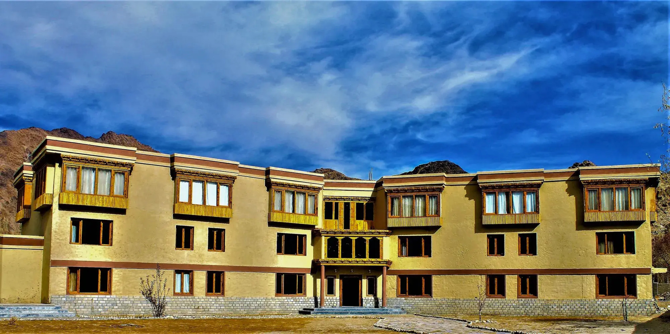 The Driftwood Ladakh