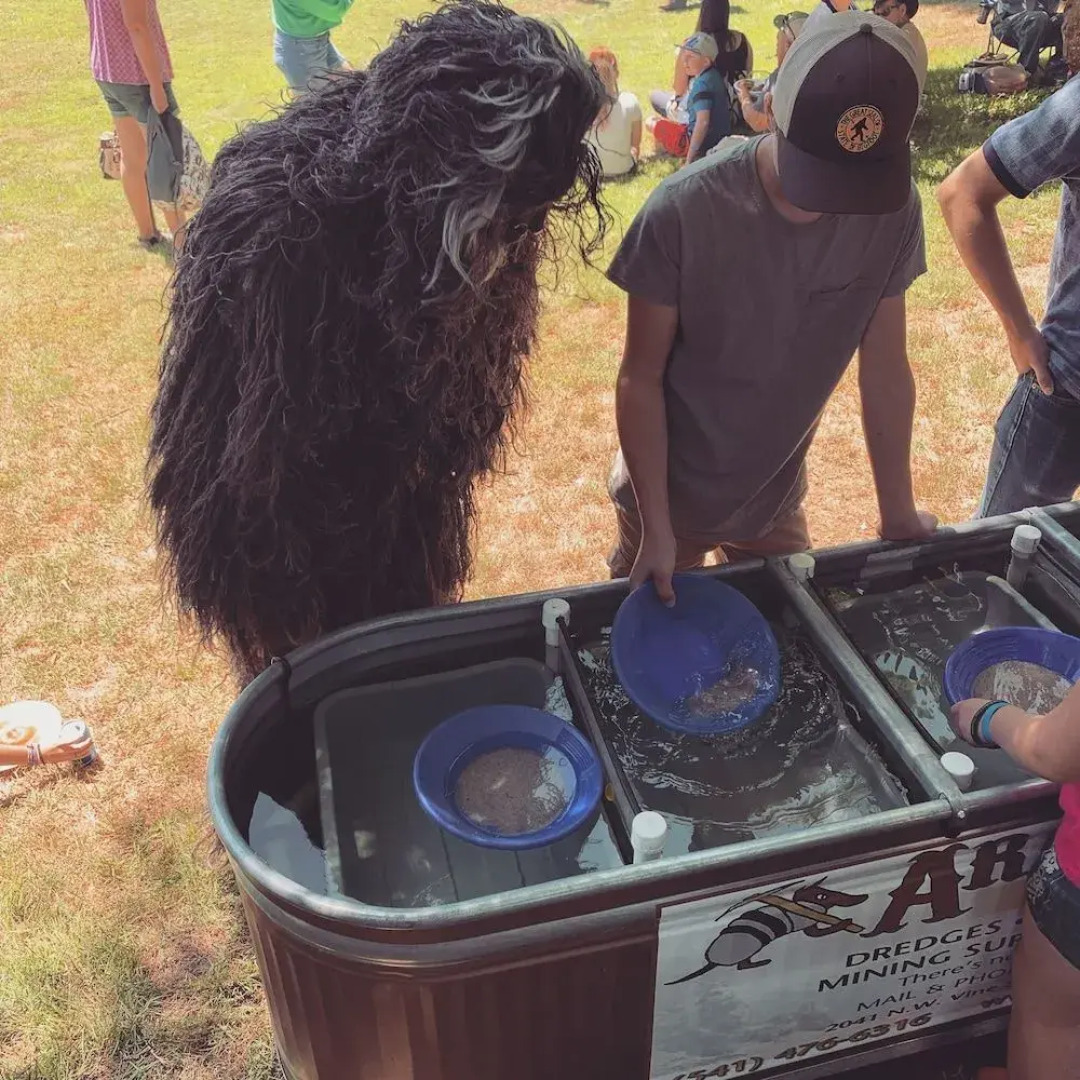 Wolf Creek Inn & Tavern