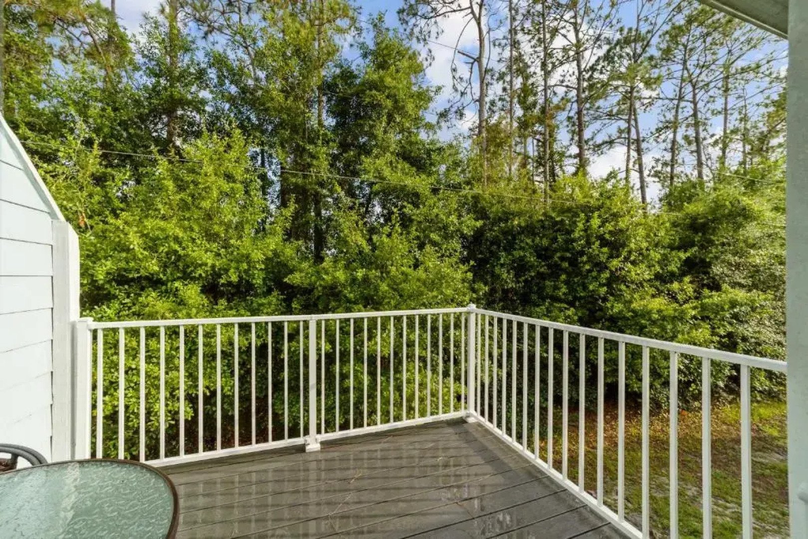 Mickey's Backyard Neighbor!