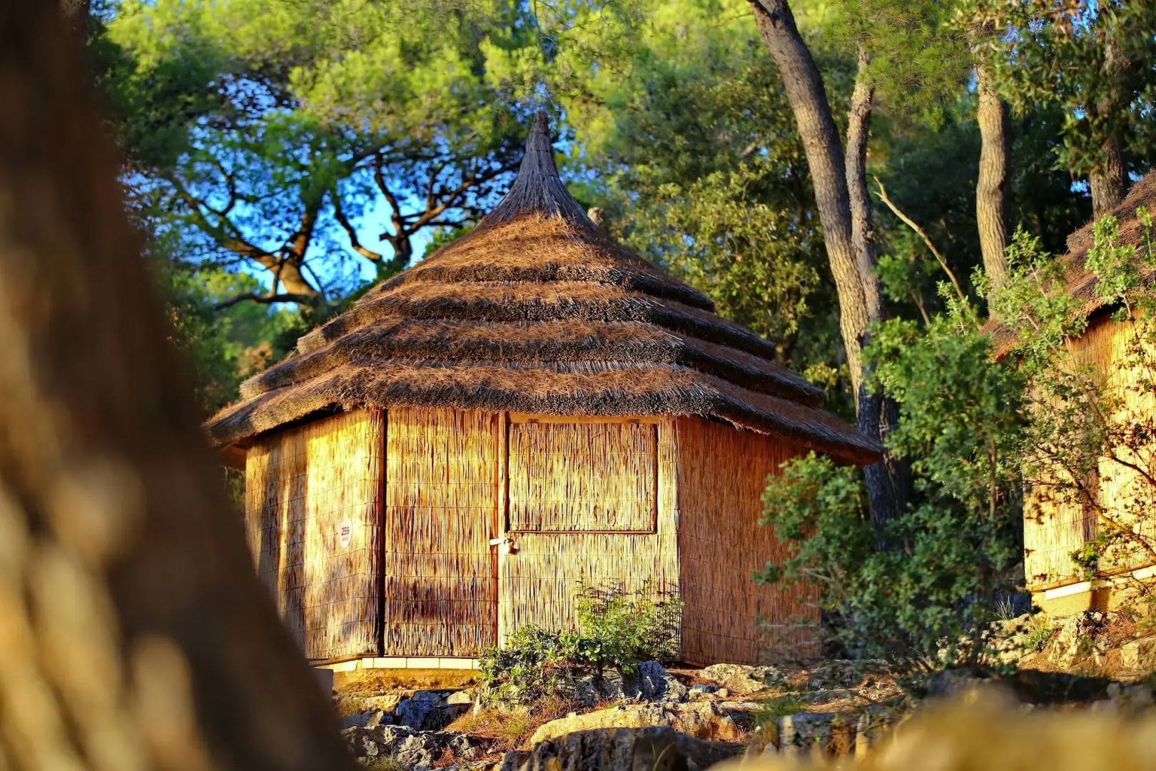 Pine Beach Pakostane - All Inclusive light