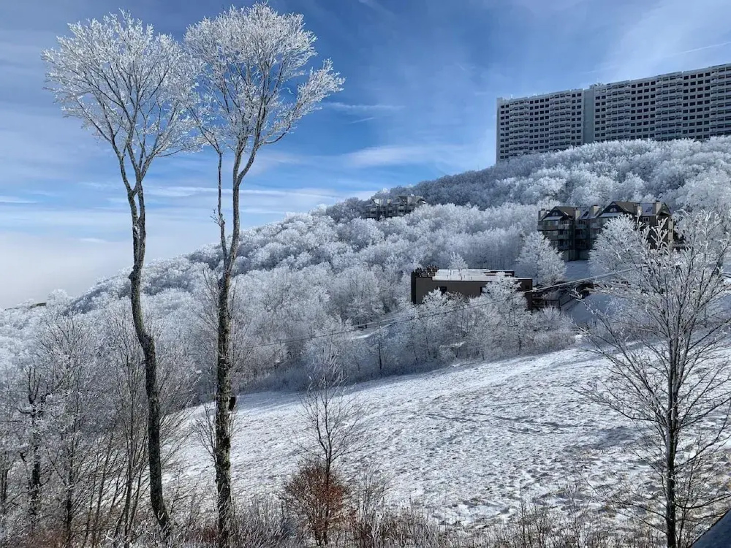 Sugar Ski & Country Club Unit 225 Silver