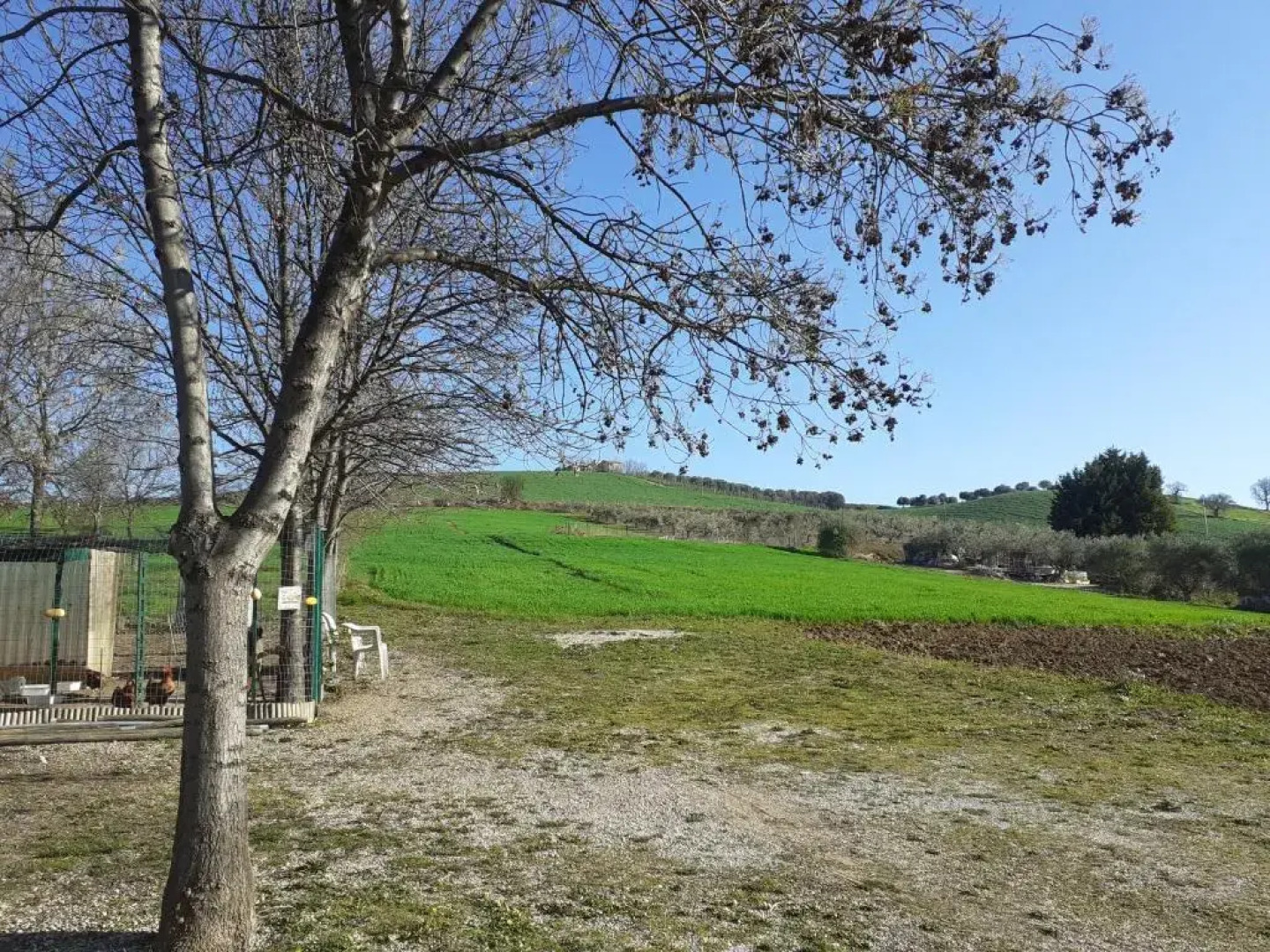 Pier delle Vigne B&B