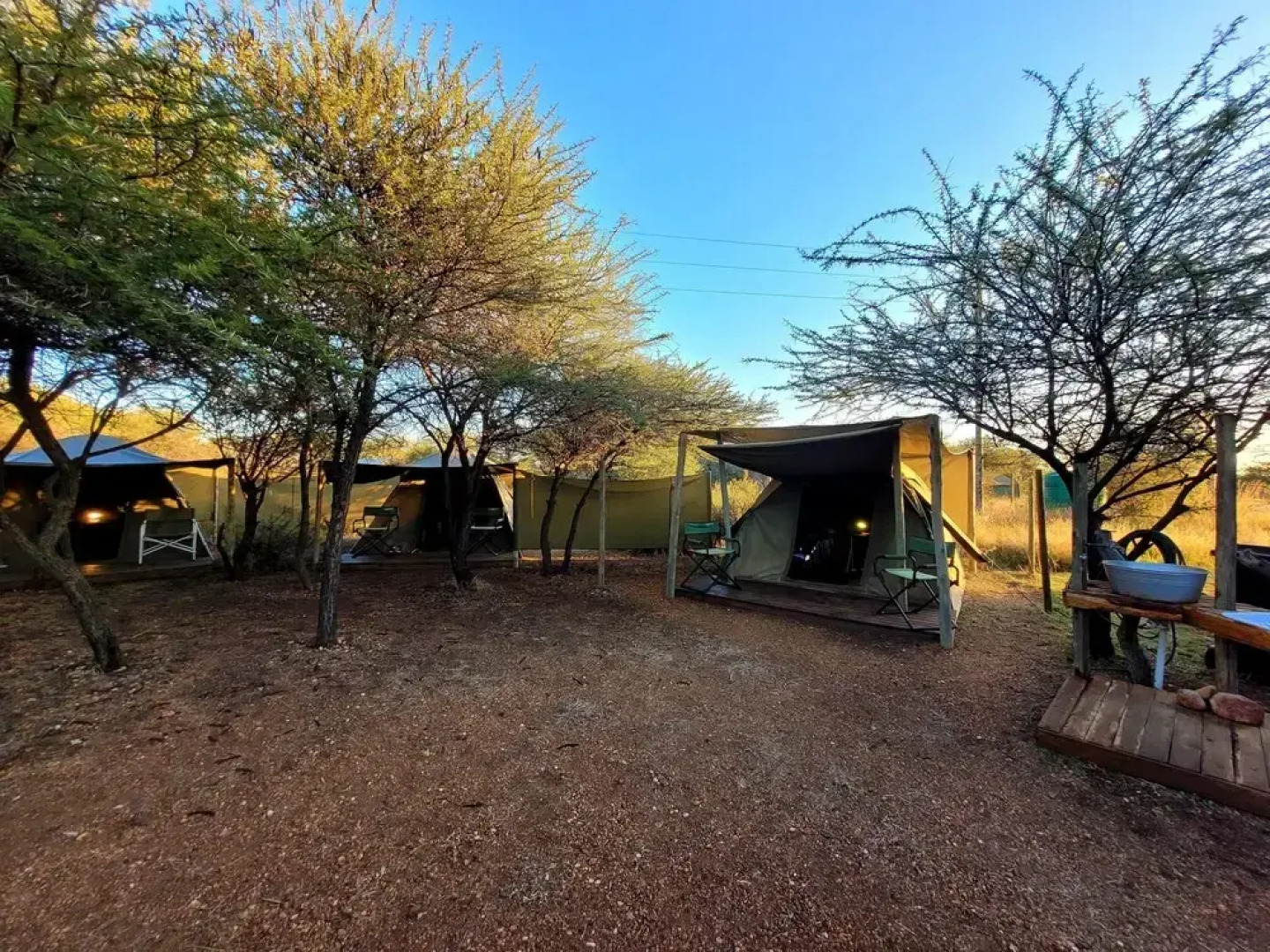 Thorn Tree Bush Camp